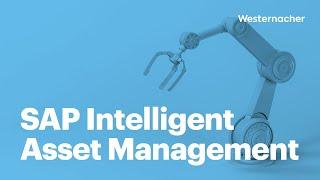 How to improve decisions with SAP Intelligent Asset Management.