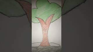 tree drawing from AK Arts #shots_video