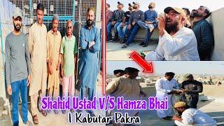 Shahid Ustad vs Hamza Bhai | Pigeon Fight in Karachi, Pakistan | Catching One Pigeon Today