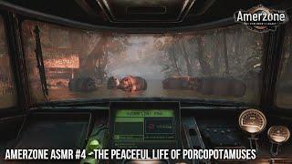 Amerzone – The Explorer's Legacy – ASMR #4 – The peaceful life of porcopotamuses