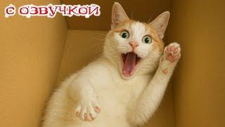 Funny Animal Videos 2024 - Funniest Dogs and Cats Videos #345