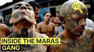 El Salvador Mega Prisons For Deadly Maras Gang Members | Witness | Gang Violence Documentary