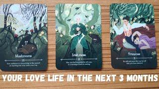 **Pick a Card** What's Coming In Your Love Life In the Next Three Months