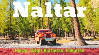 Jeep Safari Naltar Valley, Gilgit Baltistan Northern areas of Pakistan travel Urdu Vlog گلگت بلتستان