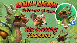 #109   КАШТАН ДРАКОН НЕДЕЛЬНЫЙ, Как вывести Каштана ? Побочные драконы - Легенды Дракономании