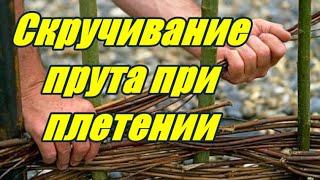 Лозоплетение LIVE - Скручивание прута при плетении - Wickerwork