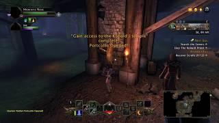 Neverwinter Nest Egg