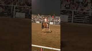 bucking bronc, Last Stand Rodeo 2025
