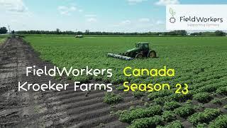 Colorado Beetle Catcher FieldWorkers - Kroeker Farms - Canada