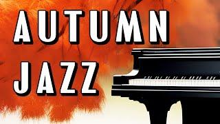 4K Jazz Relaxing Music in a Cozy Jazz Club - Bossa Nova and Smooth Jazz to Study, Work, Focus