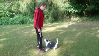 Katrin shows a few Amazing Dog Tricks