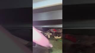 Midea America reviews: Pissed | PissedConsumer.com