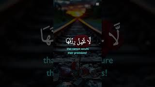 Quranic recitation #islamicrecitation #shortvideo #duet #