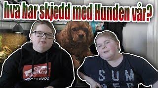 Er hunden vår død?!