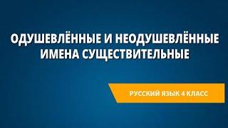 Одушевлённые и неодушевлённые имена существительные