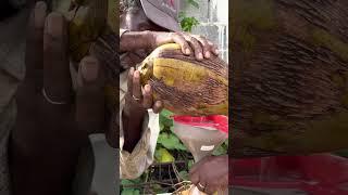  Fresh Coconut Water for Sale Street Food Dominica #shorts