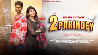 2 parindey (Teaser Out Now) | Vijay Gadariya | Amisha patel | Saurabh pindwar | Satyam Records