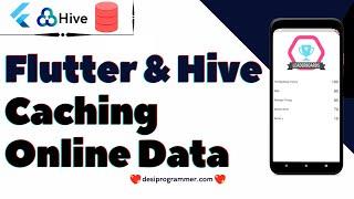 Flutter Offline Mode | Caching API Data Using HIVE Database |