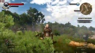 The Witcher 3 Wild Hunt - I5 4460 - GTX 950 - 1080p