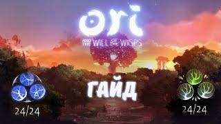 ГАЙД ПО ФРАГМЕНТАМ ЯЧЕЕК ЖИЗНИ И ЭНЕРГИИ, ИХ МЕСТОНАХОЖДЕНИЕ | Ori and the will of the wisps