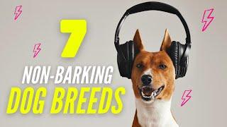 7 Dogs That Don't Bark