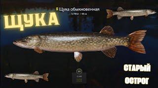 Русская рыбалка 4 (РР4) оз. Старый Острог ЩУКА Russian fishing 4 (РР4) Old Burg PIKE