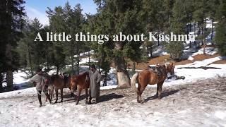 A little things about Kashmir