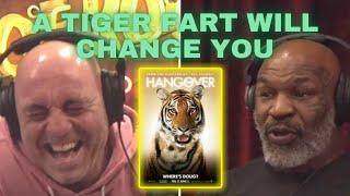 JRE: Tyson On Tiger Farts, Human Zoo's & Hunting People?!?