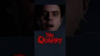 A Swarm of Bears! | The Quarry