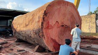 Wood Cutting Skills // Cutting The World's Largest Oak Tree With A Giant Chainsaw