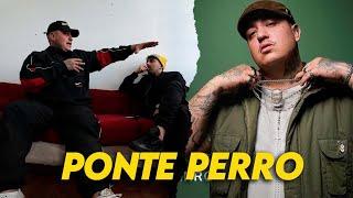 PONTE PERRO habla de: Su LOCO viaje a BRASIL - Sesión en BERLIN - Amistad con el NOBA - Ft con GZ