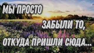 СВЕТЛОЕ, ПРОНЗИТЕЛЬНОЕ, ДУШЕВНОЕ СТИХОТВОРЕНИЕ-РАЗМЫШЛЕНИЕ "О ВАЖНОМ" ЮКА ФОМИНА