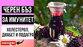 BLACK ELDER SYRUP FOR STRONG IMMUNITY DIABETES CHOLESTEROL AND GOUT USEFUL PROPERTIES OF BLACK ELDER