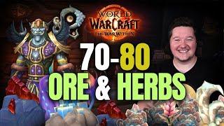 WoW Leveling 70-80 with Mining & Herbalism in TWW