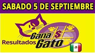 Resultado del Sorteo Gana Gato del 5 de septiembre del 2020