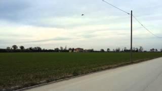 F-22 Raptor (Homemade)