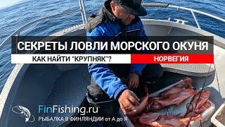 Секреты ловли крупного морского окуня в Норвегии