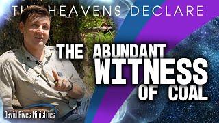 The Abundant Witness of Coal | The Heavens Declare | David Rives