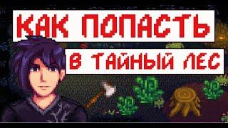 Как попасть в Тайный Лес! Гайд для новичков!