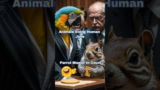 Animals Doing HUMAN Jobs So Well,You’ll Regret NOT Watching!