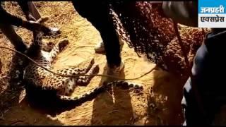 panther ko banaya kuttta | Janprahari Express