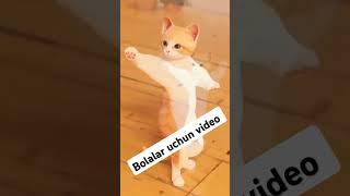 Bolalar uchun ajoib video