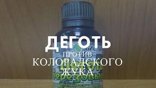 №2 Обработка  картофеля, с помощью  березового дёгтя от колорадского жука.