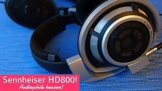 Sennheiser HD800 audiophile review - worth a 1000 bucks? | DHRME #22