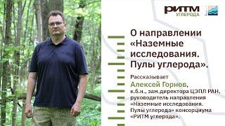 Алексей Горнов о направлении «Наземные исследования. Пулы углерода» консорциума «РИТМ углерода»