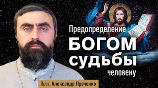 Предопределение Богом судьбы человеку (прот. Александр Проченко) @r_i_s