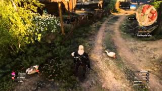 Witcher 3 - Crafting Feathers Location