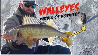 Ice Fishing a TON of Walleyes in MIDDLE OF NOWHERE!