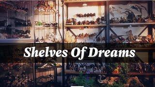 "Shelves Of Dreams" : Song By Funimalia 