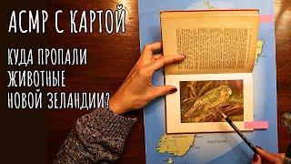 Познавательное АСМР: куда пропали животные Новой Зеландии - карты, схемы и объяснения